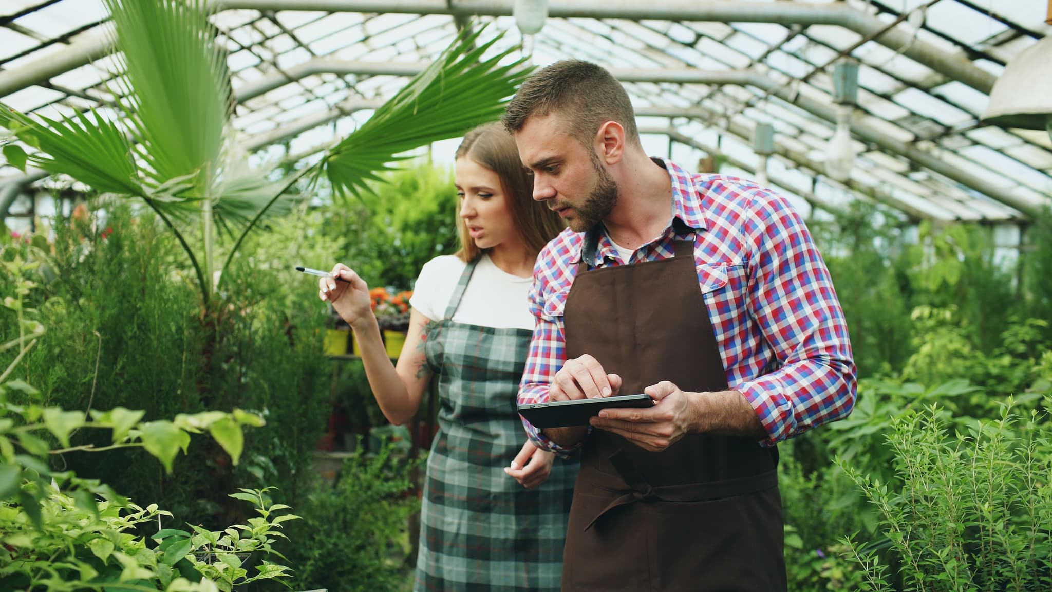 Agriculture Team