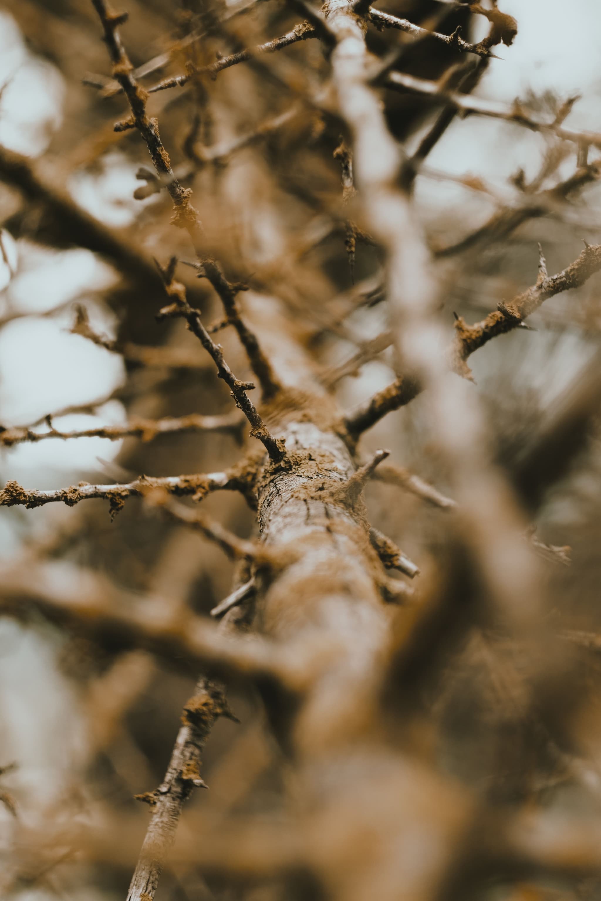 Inconsistent Workflows