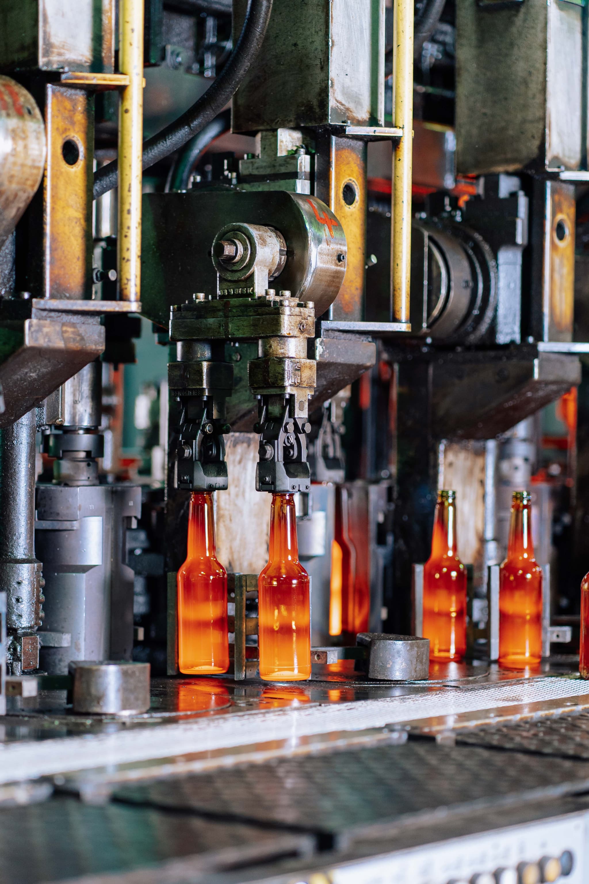 Process Automation & Workflow Optimization